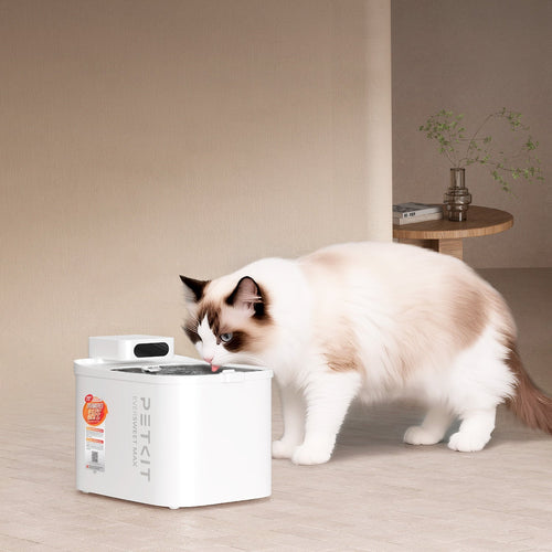 EverSweet Max 2 cordless water fountain for cats