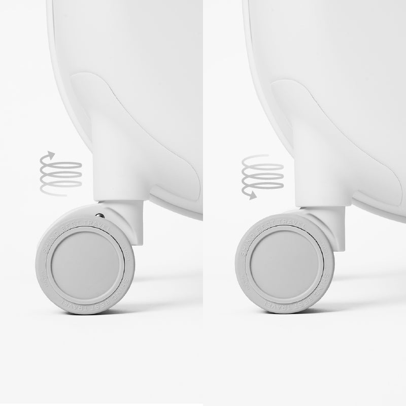 PIDAN Smart Pet Carrier with LED & Ventilation