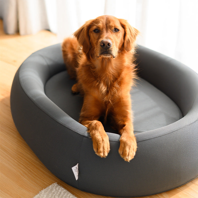Brooklyn® Nest Dog Bed (Orthopaedic Memory Foam)