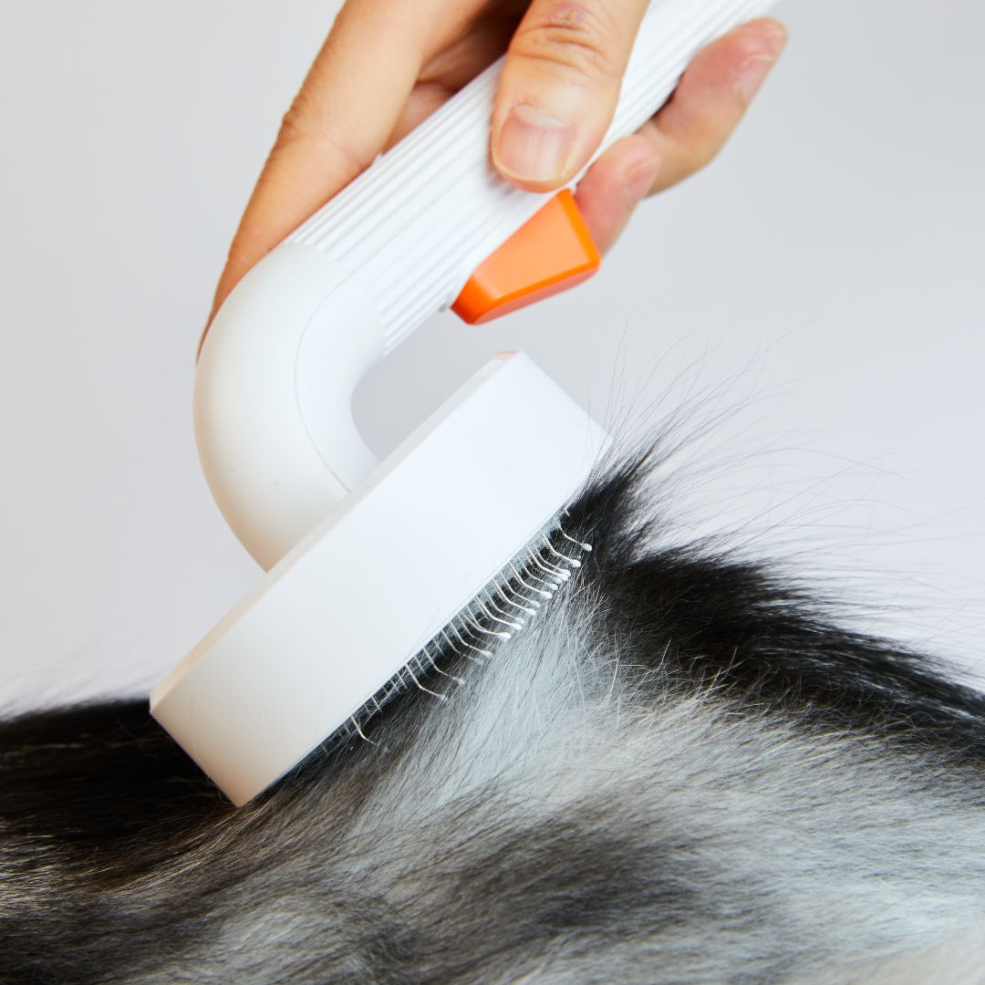 PETKIT Grooming Brush