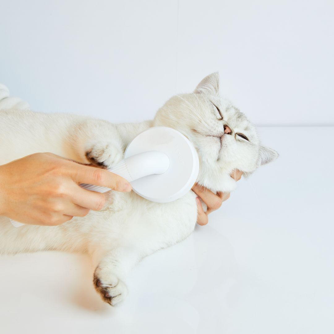 PETKIT Grooming Brush