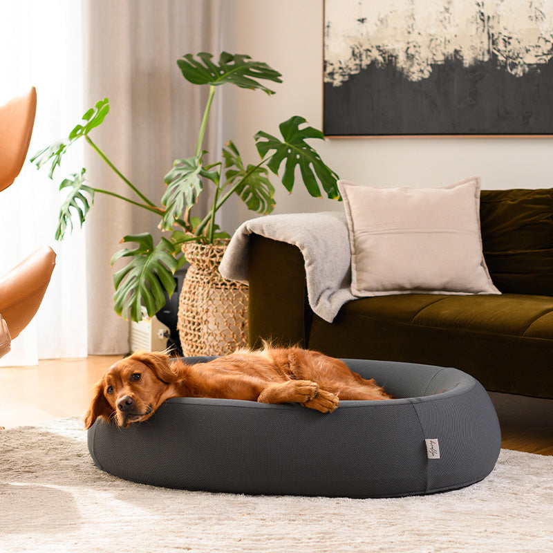 Brooklyn® Nest Dog Bed (Orthopaedic Memory Foam)