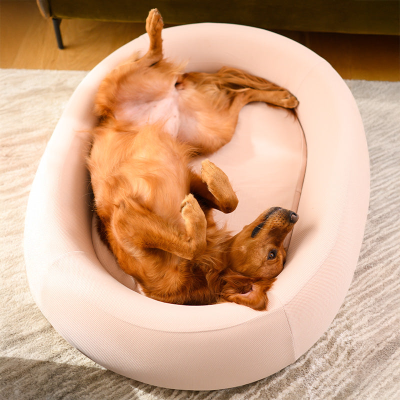 Brooklyn® Nest Dog Bed (Orthopaedic Memory Foam)