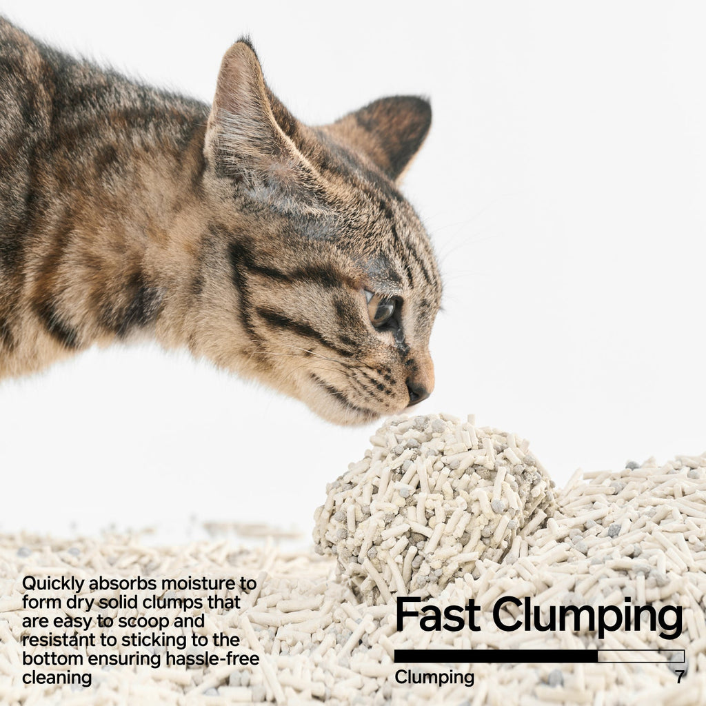 PIDAN Signature Tofu Blend Cat Litter 2.4KGx4