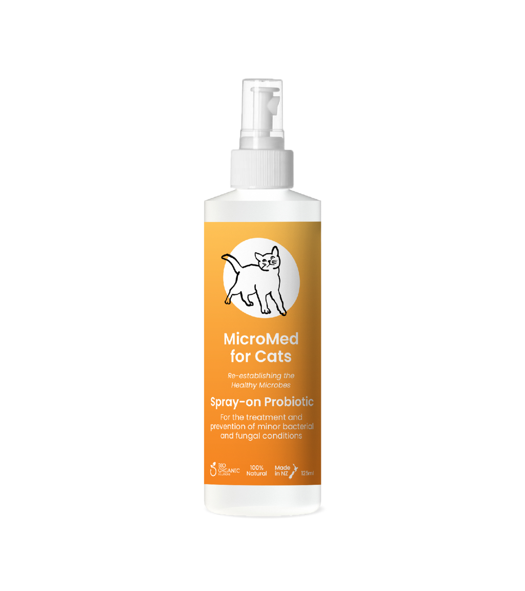 MicroMed for Cats Acute Care
