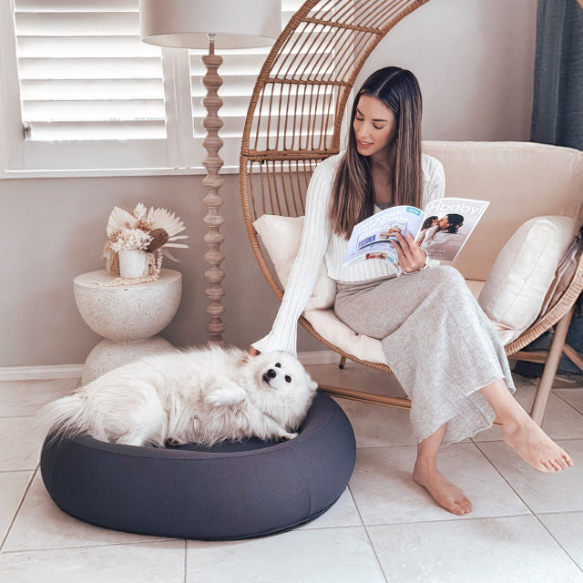 Brooklyn® Nest Dog Bed (Orthopaedic Memory Foam)