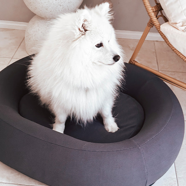 Brooklyn® Nest Dog Bed (Orthopaedic Memory Foam)