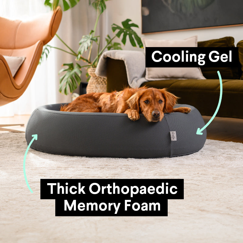 Brooklyn® Nest Dog Bed (Orthopaedic Memory Foam)
