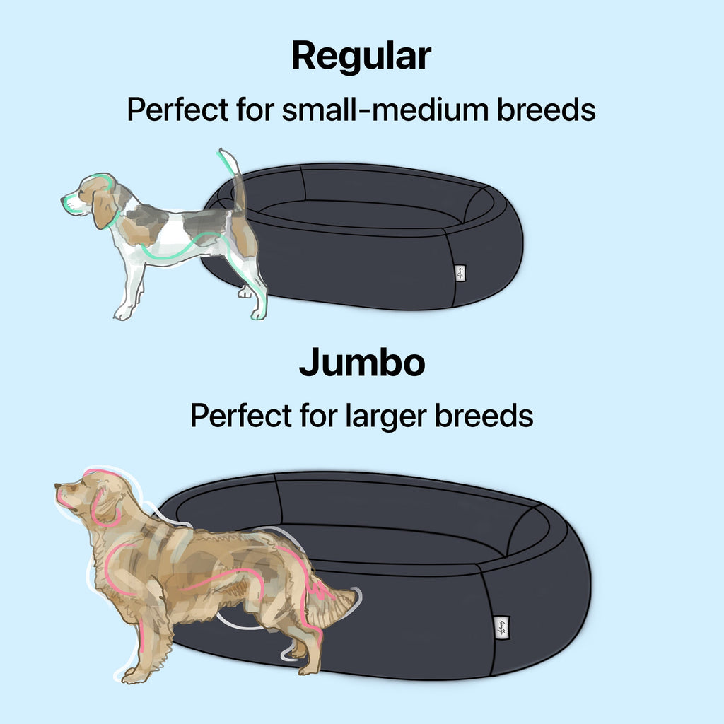 Brooklyn® Nest Dog Bed (Orthopaedic Memory Foam)
